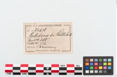Etiketten zu Bronzearmreif (NHMW-PRAE-024878)